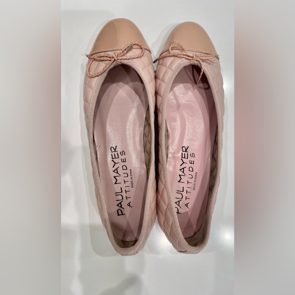Gorgeous Paul Mayer Ballet Flats-never worn!